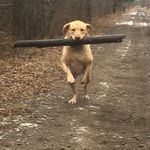 Jeff Mcdougall - @mcdougall_jeff - Instagram