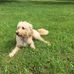 Jeff Mcdougall - Facebook