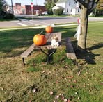 Jeff Mcfall - Facebook