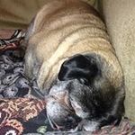 Jeff Mcgee - @jeff.mcgee.1694 - Instagram