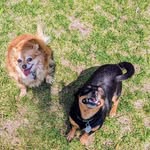 Jeff Mckibben - @mckibbenjeff - Instagram