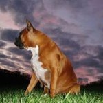Jeff Mckibben - @jmckibben12 - Instagram