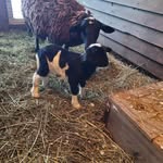 Jeff McKinnon - @jeffmckinnon58 - Instagram