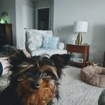 Jeff McKinnon - Facebook