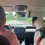 Jeff Mclane - @mclane7733 - Instagram