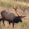 jeff_mc - @jeff_mcneil - TikTok
