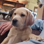 Jeff mcphee - @jmm.7570 - Instagram