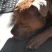 Jeffrey Mecham - Facebook