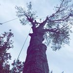 Jeff Melcher - @jeffmelcher21 - Instagram
