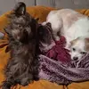 jeffmerryman5 - @jeff.merryman7 - TikTok