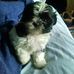 Jeff Messersmith - Facebook
