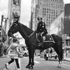 Jeff Millman ret lapd cccso - @jeffmillman5 - TikTok