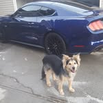 Jeff Minton - @gtjeff2016 - Instagram