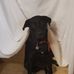 Jeff Minton - Facebook