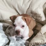 Jeff Minton - @jeff.minton.7549 - Instagram