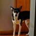 Jeff Mohn - Facebook