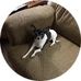 Jeff Monteleone - Facebook
