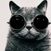Jeff Mora - @jeff.mora.8 - TikTok