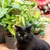 Jeffrey Morgenstern - Facebook
