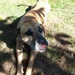 Jeff Mosher - @jeff.mosher.942 - Instagram