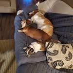 Jeff Mosier - @hammard - Instagram