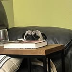 Jeff Mosier - @moep70 - Instagram