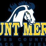 Jeff Barker Head Cross Country Coach at Mount Mercy University - @coachbarker - Instagram