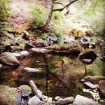 Jeff Mount - @dj_mount - Instagram