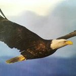 Jeff Mount - @jeff_mount - Instagram