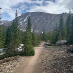 Jeff Mount - Warrior Poet - @minor_forest_deity - Instagram