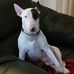 Jeff Mull - Facebook