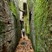 Jeff Nachman - Facebook