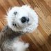 Jeffrey A Nachman - Facebook