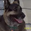 jeffnaumann4 - @jeff.naumann - TikTok