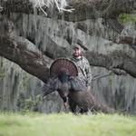 Jeff Neill - @j.nei11 - Instagram