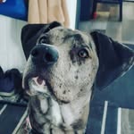 D Jeff Nesbitt - @jeffnesbitt - Instagram