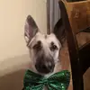 jefferynewcomb - @jefferynewcomb - TikTok