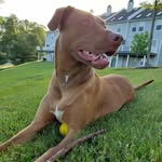 Jeff Nicholas - @stoned_harbor - Instagram