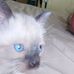 Jeff Nitschke - Facebook
