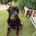 Jeff Nolan - Facebook