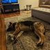 Jeff Noland - Facebook
