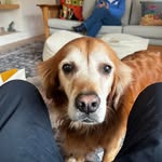 Jeff Noland - @jeff.noland.59 - Instagram