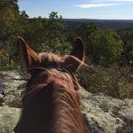 Jeff O'Dell - @sam360468 - Instagram
