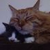 Jeff Oglesby - Facebook