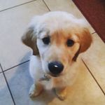 Jeff Olinger - @olingerjeff - Instagram