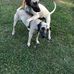 Jeff Oliphant - Facebook