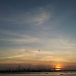 Jeff Ong - @jeffopb - Instagram