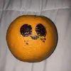 bobtheorange20299272 - @jeff_the_orange1 - TikTok