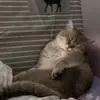 jeffotto - @jeffotto - TikTok