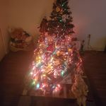 Jeff Pacheco - @jeff.pacheco.5203 - Instagram